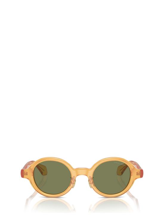 26FW 조르지오 아르마니 선글라스 AR8205 60632A TRANSPARENT HONEY