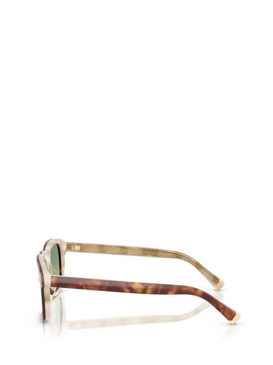 26FW 브루넬로 쿠치넬리 선글라스 BC4014S 10064M HAVANA PANAMA - BRUNELLO CUCINELLI