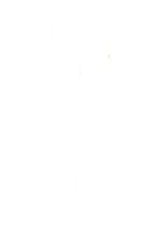 25FW [키즈] 돈답 진 DFPA169 C DS039 0009 WHITE - DONDUP