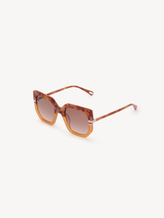  끌로에 선글라스 CHC24SEK0240846 HAVANHONEY