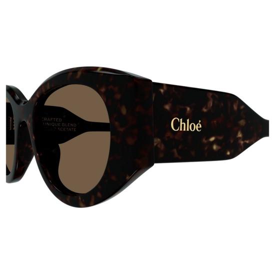  끌로에 선글라스 CH0251S 002 Havana - CHLOE