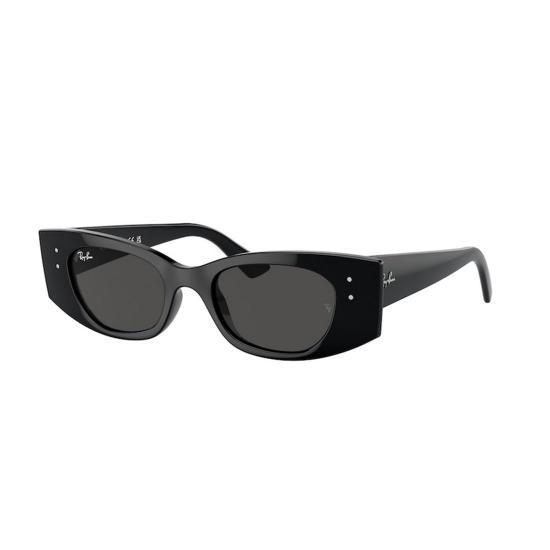  레이밴 선글라스 RB4427 667787 Black