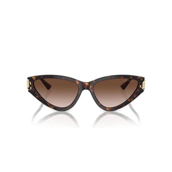  지미추 선글라스 JC5019 500213 Havana - JIMMY CHOO