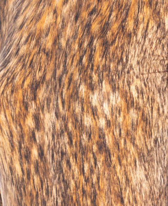 25FW MM6 메종마르지엘라 바디수트 티셔츠 S52NA0074M20112001S BROWN - MM6 MAISON MARGIELA