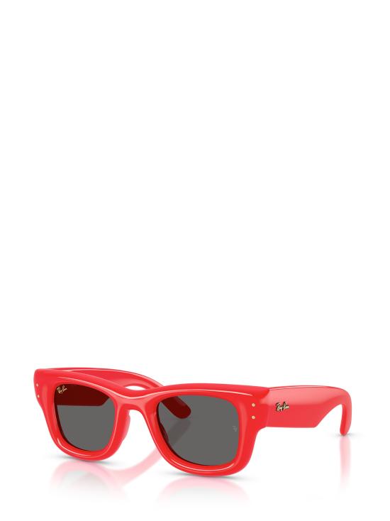 25FW 레이밴 선글라스 RB4940 683187 RED - RAY BAN