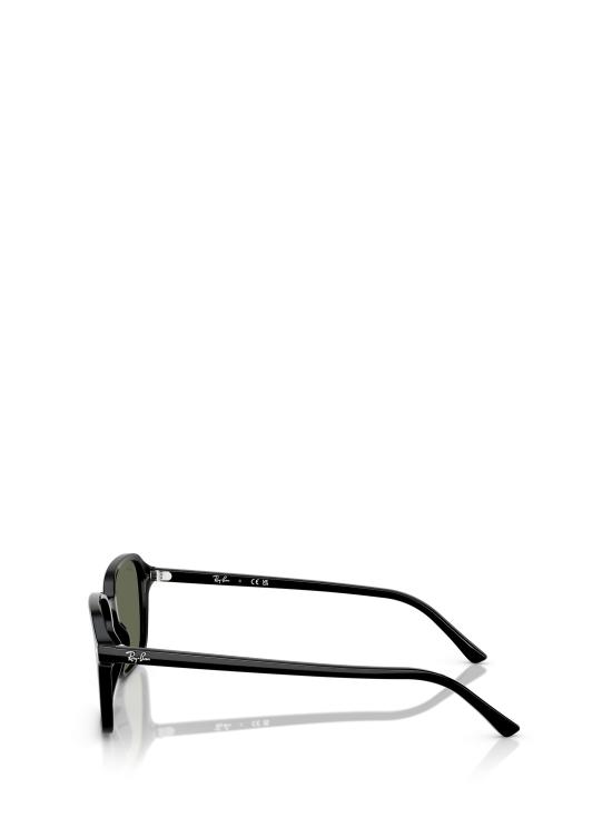 26FW 레이밴 선글라스 RB2231 901 31 BLACK - RAY BAN