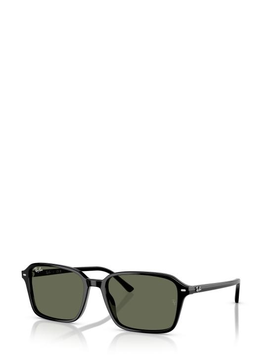 26FW 레이밴 선글라스 RB2231 901 31 BLACK - RAY BAN