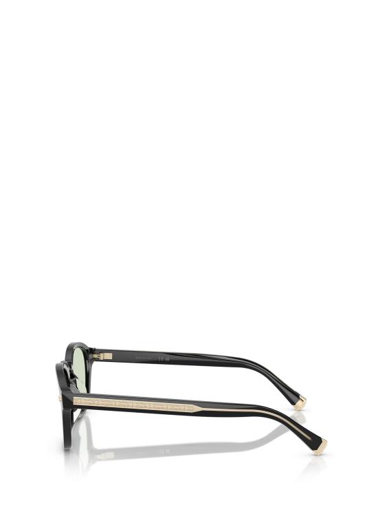 26FW 브루넬로 쿠치넬리 선글라스 BC4006S 100314 BLACK - BRUNELLO CUCINELLI