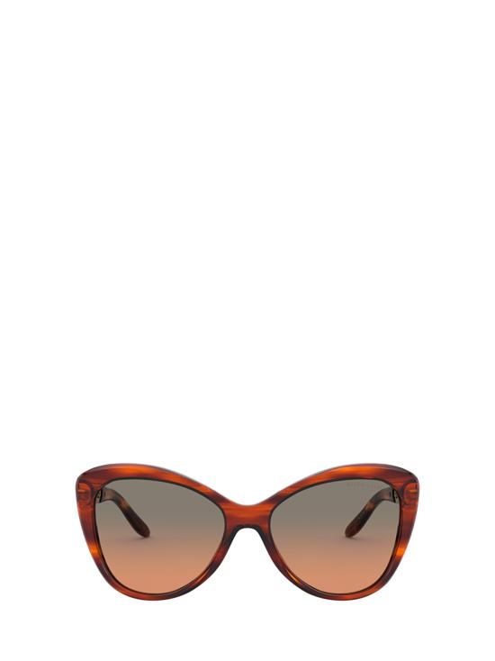 26FW 랄프 로렌 선글라스 RL8184 500718 SHINY STRIPED HAVANA