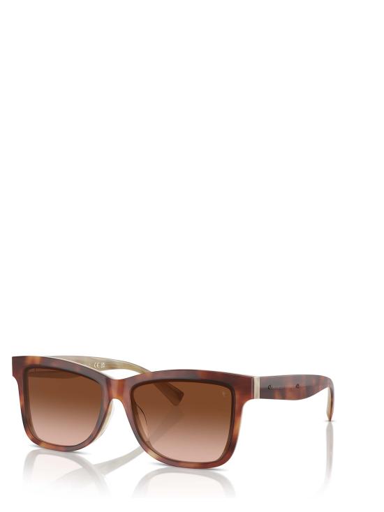 26FW 브루넬로 쿠치넬리 선글라스 BC4009S 10063B HAVANA PANAMA - BRUNELLO CUCINELLI