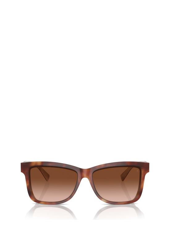 26FW 브루넬로 쿠치넬리 선글라스 BC4009S 10063B HAVANA PANAMA