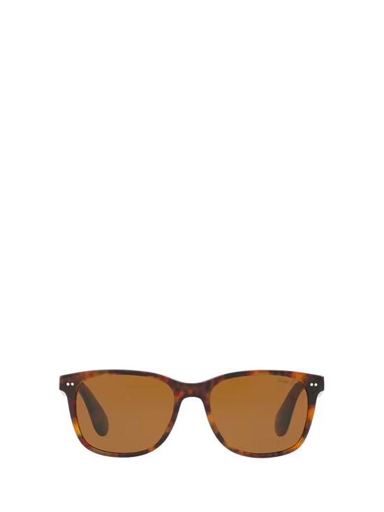 25FW 랄프 로렌 선글라스 RL8162P 501753 SHINY JERRY HAVANA