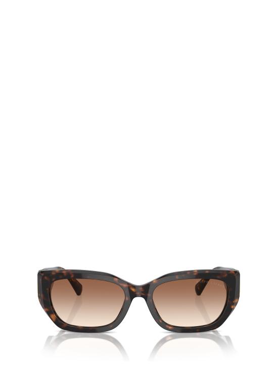 26FW 랄프 로렌 선글라스 RL8222 500313 DARK HAVANA
