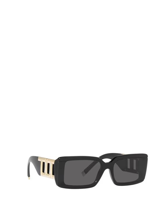 26FW 티파니앤코 선글라스 TF4197 8001S4 BLACK - TIFFANY & CO