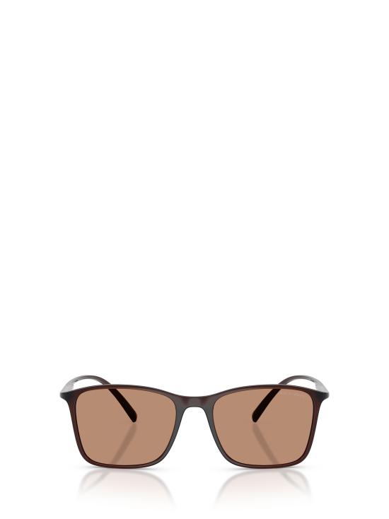 26FW 조르지오 아르마니 선글라스 AR8231U 623973 TRANSPARENT BROWN