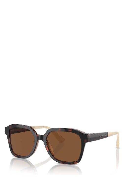26FW 브루넬로 쿠치넬리 선글라스 BC4005S 1015N9 HAVANA - BRUNELLO CUCINELLI