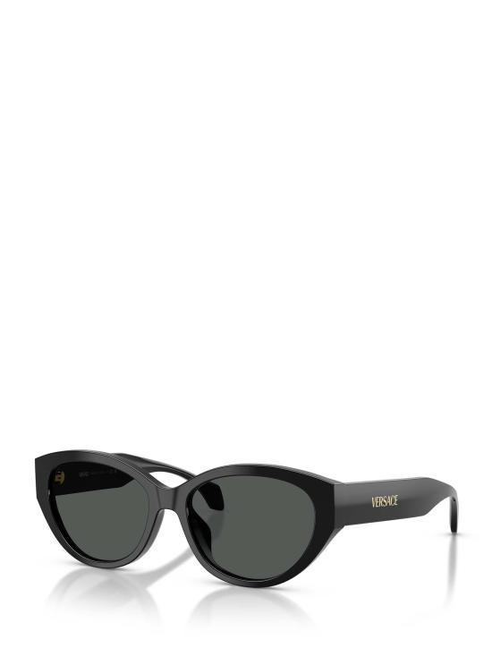 26FW 베르사체 선글라스 VE4495D GB1 87 BLACK - VERSACE