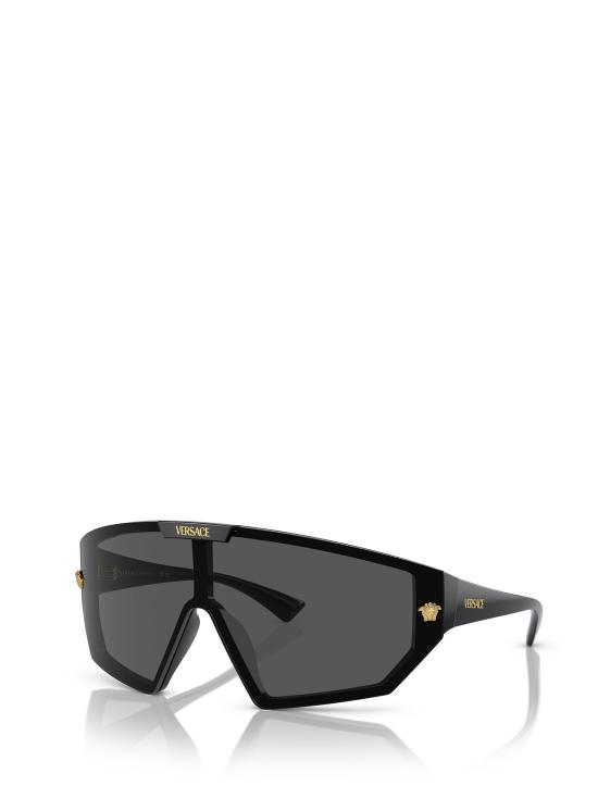 25FW 베르사체 선글라스 VE4461 GB1 87 BLACK - VERSACE