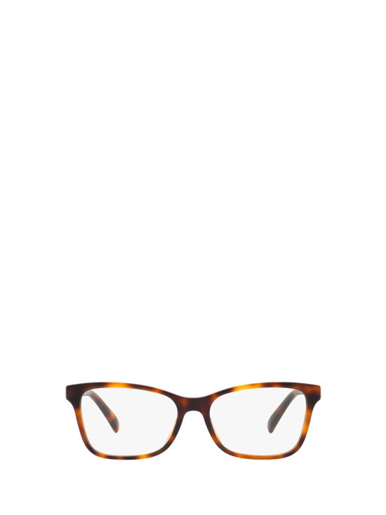 25FW 랄프 로렌 안경 RL6233U 5303 HAVANA