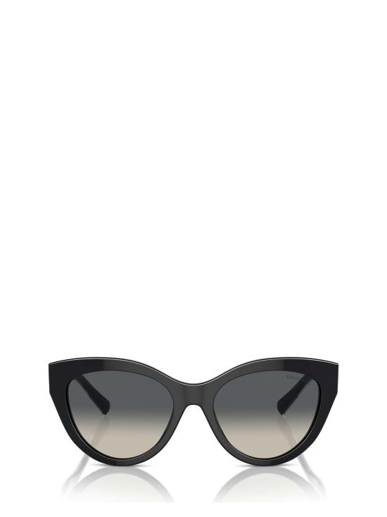 25FW 티파니앤코 선글라스 TF4220 800171 BLACK