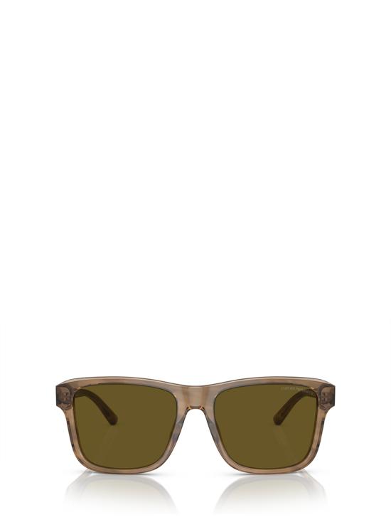 26FW 엠포리오 아르마니 선글라스 EA4208 605573 SHINY GREEN TOP BROWN