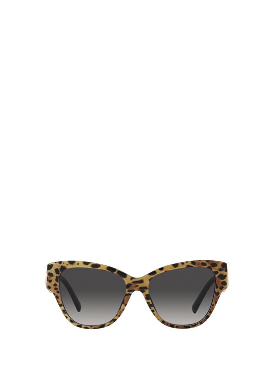 26FW 돌체앤가바나 선글라스 DG4449 31638G LEO BROWN ON BLACK