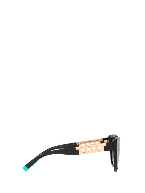 26FW 티파니앤코 선글라스 TF4196 80013C BLACK - TIFFANY & CO