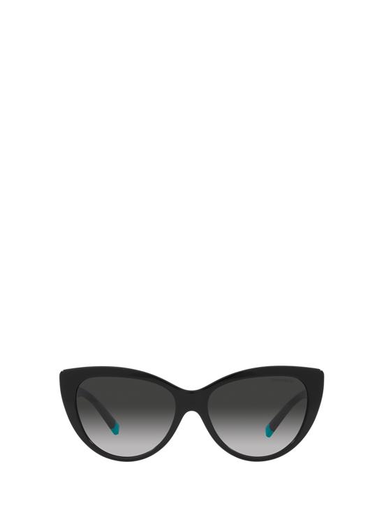 26FW 티파니앤코 선글라스 TF4196 80013C BLACK