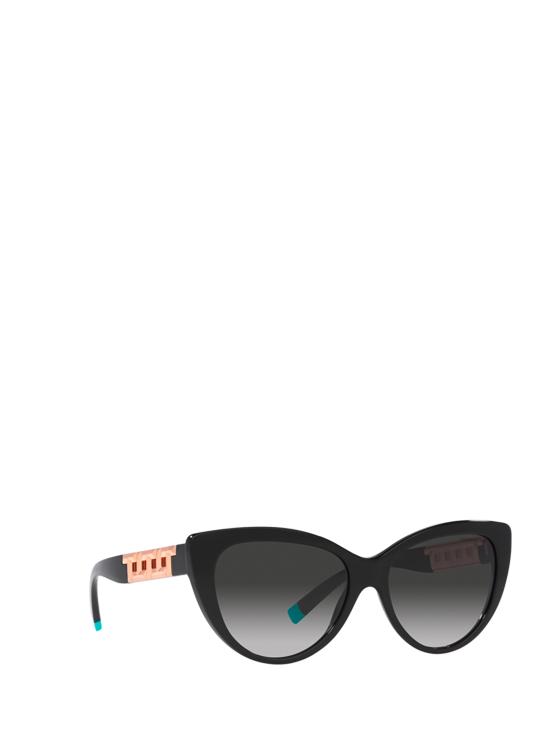 26FW 티파니앤코 선글라스 TF4196 80013C BLACK - TIFFANY & CO