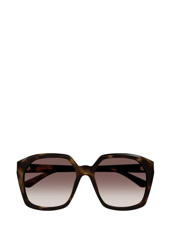 26FW 끌로에 선글라스 CH0280S 006 HAVANA