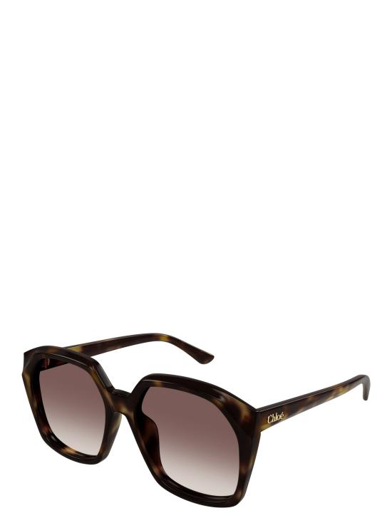 26FW 끌로에 선글라스 CH0280S 006 HAVANA - CHLOE