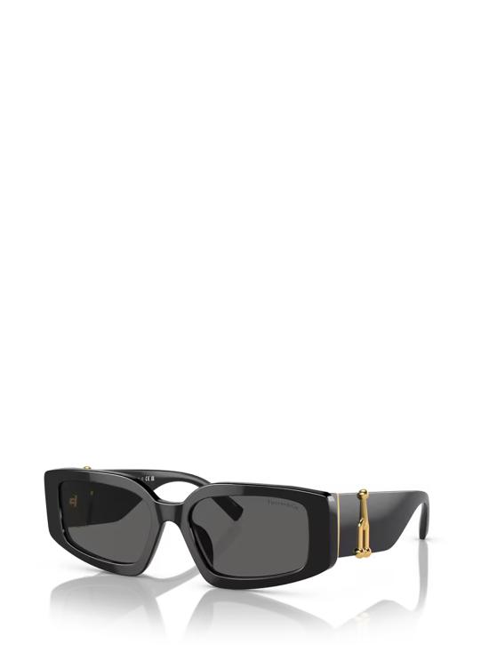 26FW 티파니앤코 선글라스 TF4208U 8001S4 BLACK - TIFFANY & CO