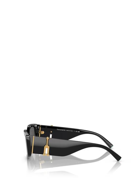 26FW 티파니앤코 선글라스 TF4208U 8001S4 BLACK - TIFFANY & CO