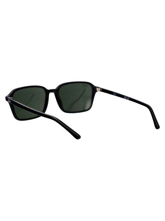 25FW 레이밴 선글라스 0RB2231 0029 black - RAY BAN