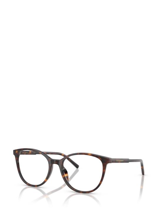 26FW 돌체앤가바나 안경 DG3425 502 HAVANA - DOLCE & GABBANA
