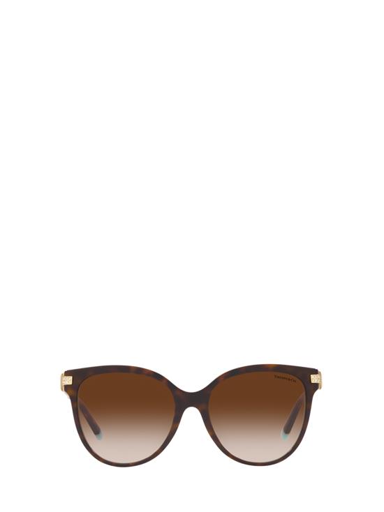 26FW 티파니앤코 선글라스 TF4193B 81343B HAVANA ON TIFFANY BLUE
