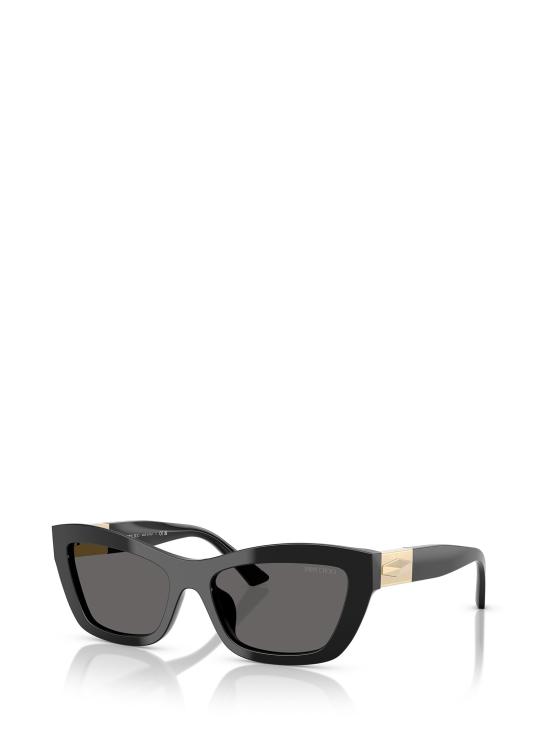 26FW 지미추 선글라스 JC5030U 500087 BLACK - JIMMY CHOO