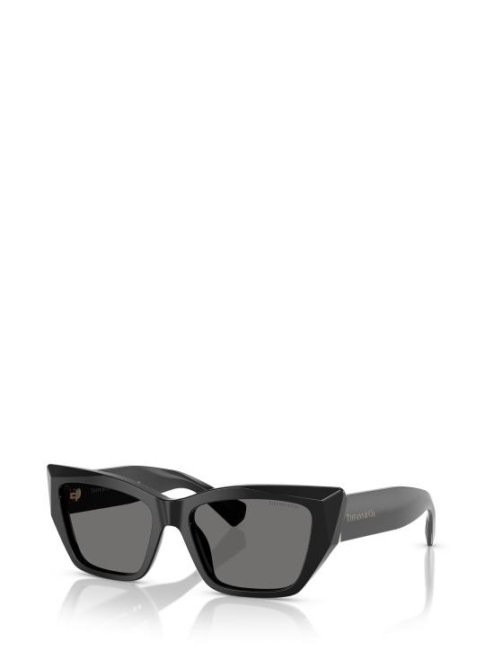 26FW 티파니앤코 선글라스 TF4230 8001S4 BLACK - TIFFANY & CO