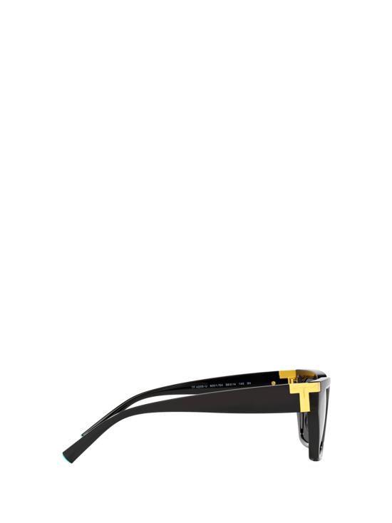 26FW 티파니앤코 선글라스 TF4205U 8001S4 BLACK - TIFFANY & CO