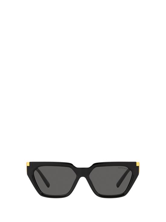 26FW 티파니앤코 선글라스 TF4205U 8001S4 BLACK