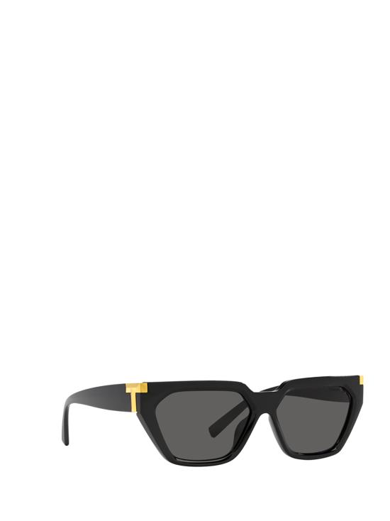 26FW 티파니앤코 선글라스 TF4205U 8001S4 BLACK - TIFFANY & CO