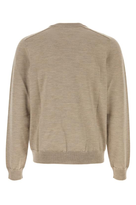 25SS 셀린느 스웨터 2AH80322U18LT LIGHT TAUPE DOM - CELINE