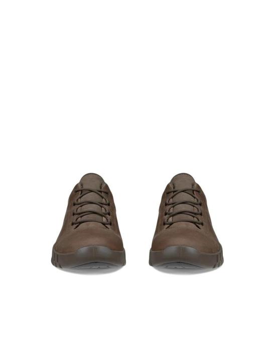 25FW 에코 스니커즈 GRUUV SNEAKER LEA GTX 525224 02559 Dark clay - ECCO