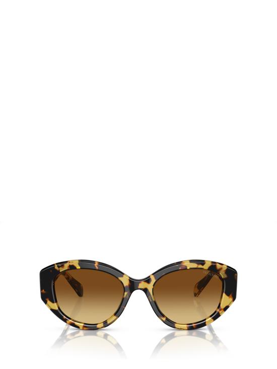 26FW 스와로브스키 선글라스 SK6005 100913 MEDIUM HAVANA