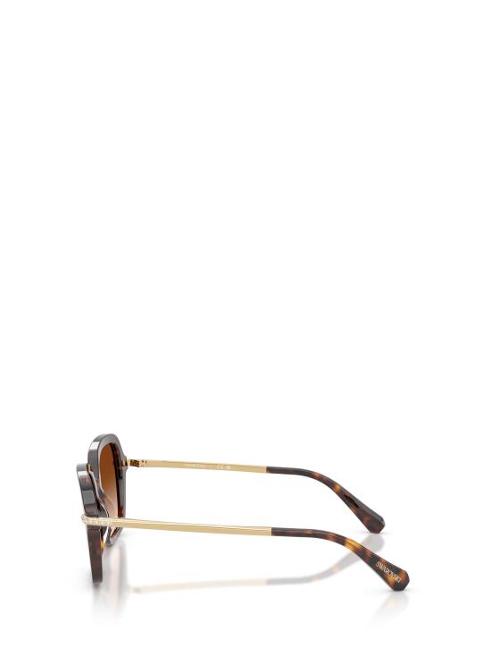26FW 스와로브스키 선글라스 SK6040 100274 HAVANA - SWAROVSKI