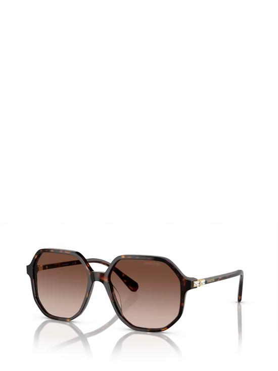 26FW 스와로브스키 선글라스 SK6003 100213 HAVANA - SWAROVSKI
