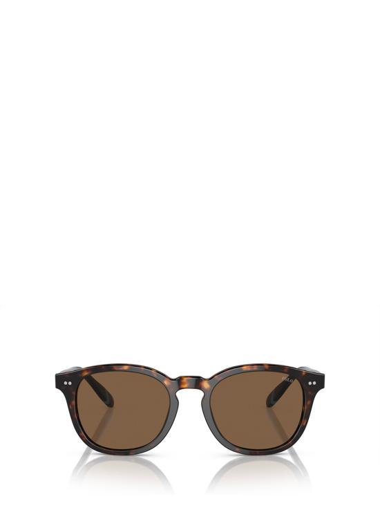 26FW 폴로 랄프로렌 선글라스 PH4206 500373 SHINY DARK HAVANA