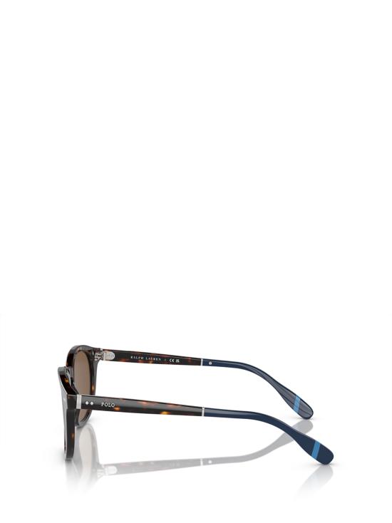 26FW 폴로 랄프로렌 선글라스 PH4206 500373 SHINY DARK HAVANA - POLO RALPH LAUREN