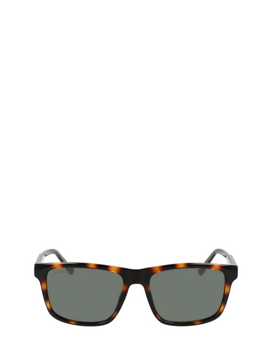 25FW 라코스테 선글라스 L6025S 214 HAVANA