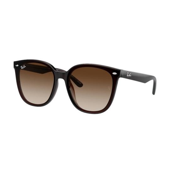  레이밴 선글라스 RB4423D 714 13 Brown